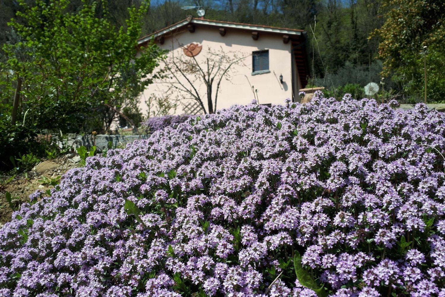 A'Loro B&B Terranuova Bracciolini Exterior foto